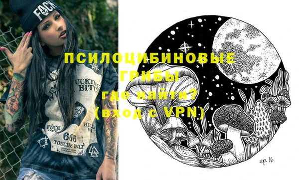 стаф Балахна