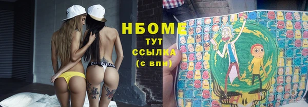 гидра Аркадак