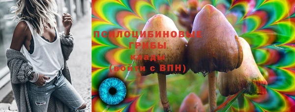 круглые Арсеньев