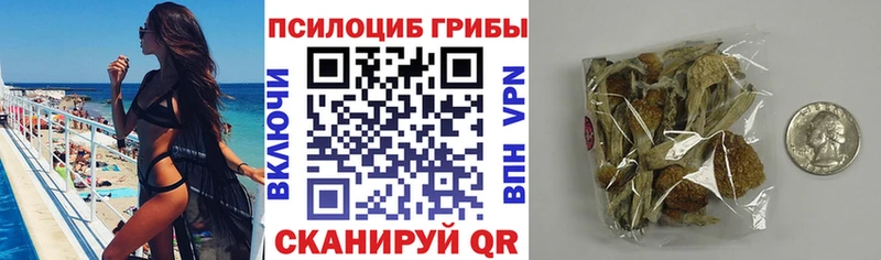 Псилоцибиновые грибы Psilocybe  Поронайск 