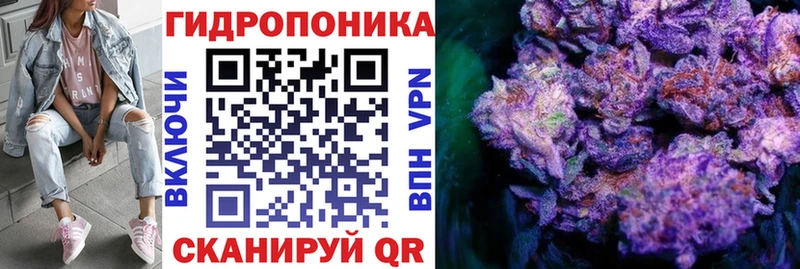 Шишки марихуана семена хочу наркоту Поронайск